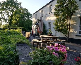 Buckley Farmhouse - Sidmouth - Patio