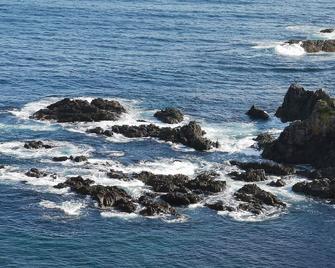 Stunning ocean front cliff top cottage - Matauri Bay