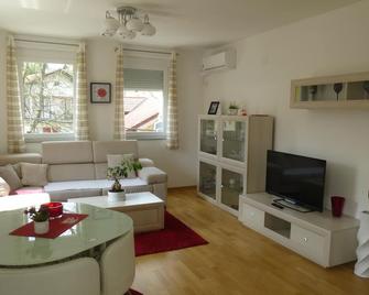 Isaka Samokovlije Apartment - Bihać - Living room