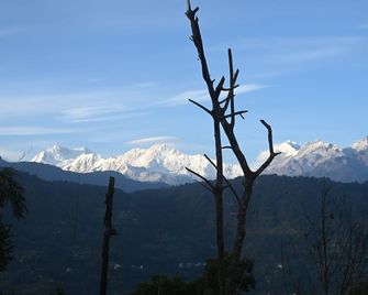 Red Panda Jungle Camp - Pelling - Outdoors view