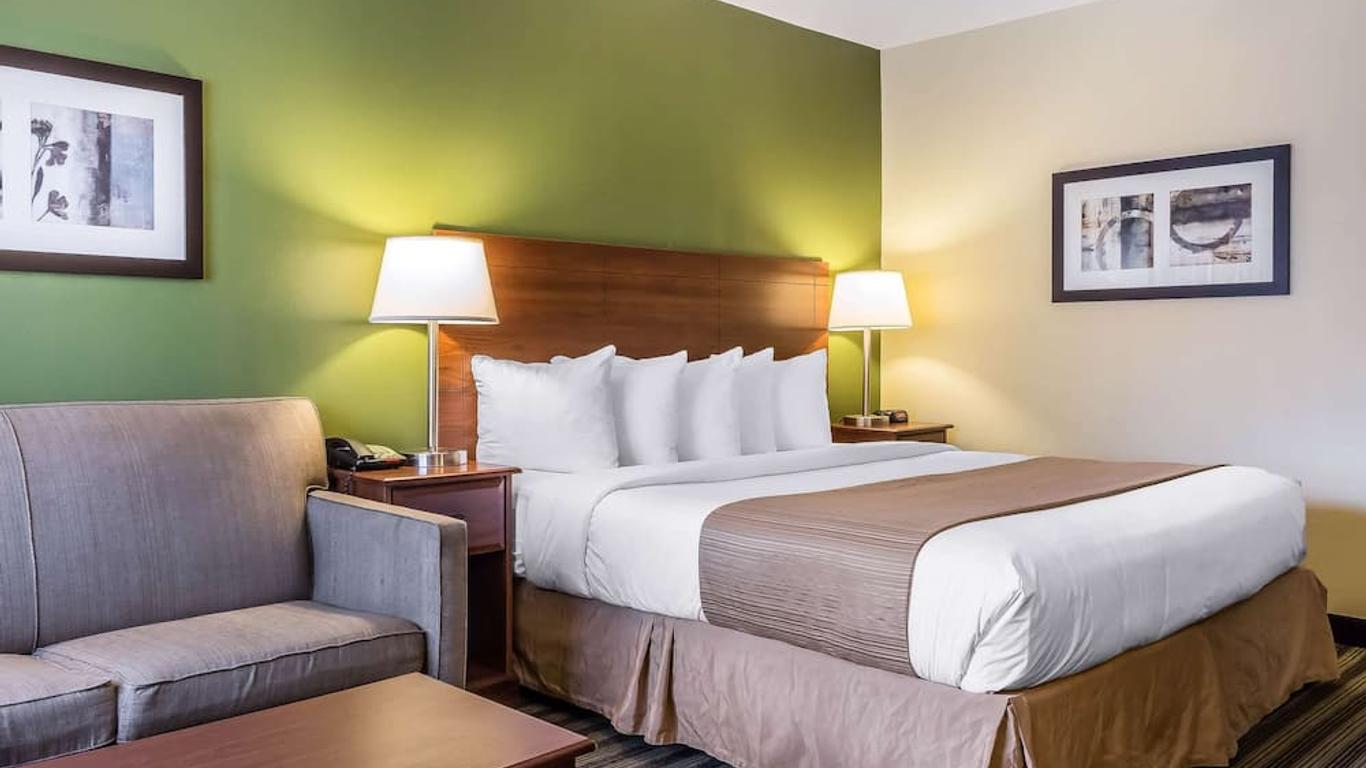 كواليتي إن فلامينجو