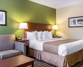 Quality Inn Flamingo - אטלנטיק סיטי - חדר שינה