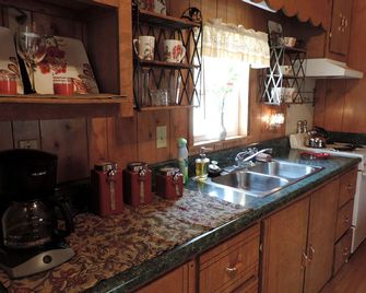 Cozy and Comfortable Cabin Rental Just 15 Minutes from San Antonio, Texas - Boerne - Kitchen