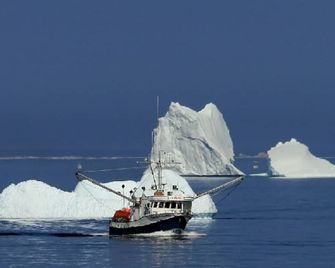 Robbins by the Sea - Bonavista