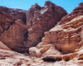 Wadi Rum Bedouin B&B Malakot - Al Quwayrah - Front desk