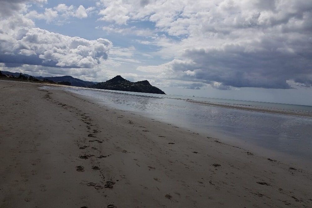 أوشن بريز ريزورت