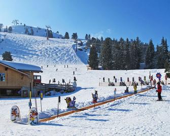 Apartment Hanser by Interhome - Ramsau im Zillertal - Property amenity