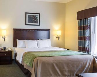 Quality Inn Donaldsonville - Gonzales - Donaldsonville - Bedroom