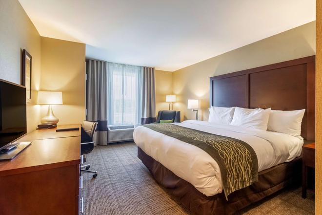 Comfort Inn Suites Harrisburg Airport Hershey South C 218
