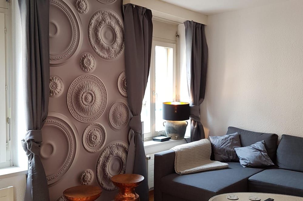 New:Lovely 2.5 Room , Dish Washer, Wifi, Fully Equiped, own washer/dryer - ציריך - סלון