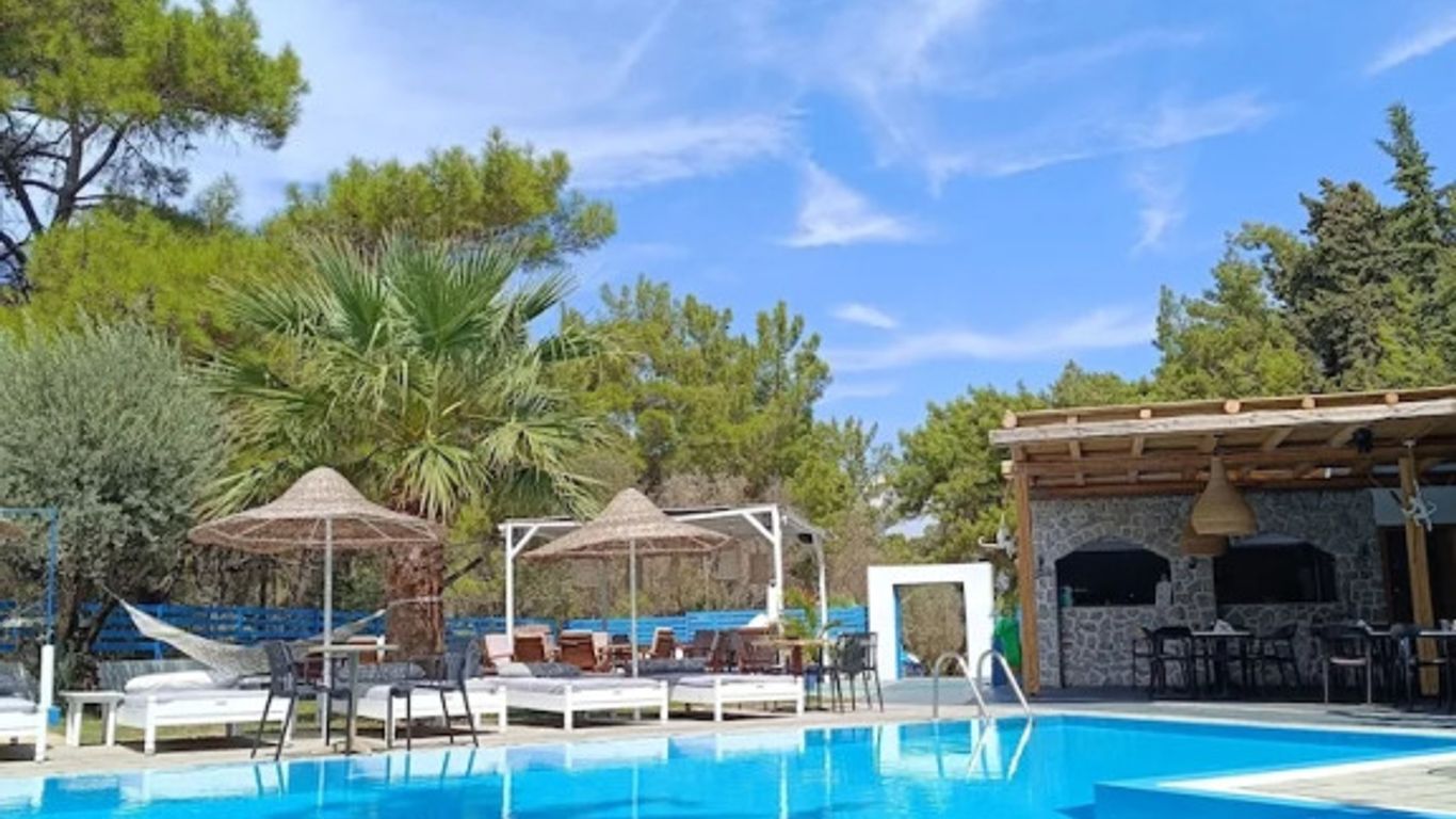 파인 트리 아트 호텔