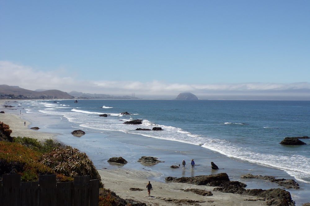 سيبرس تري موتل - كايوكوس - شاطئ