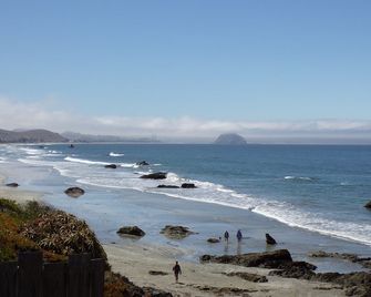 سيبرس تري موتل - كايوكوس - شاطئ