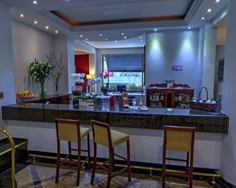 Hotel Shelton - Serra Negra - Bar