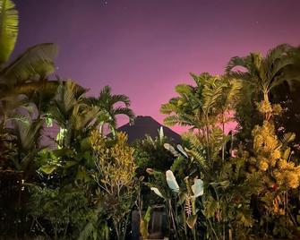 Hotel Vista del Cerro - Fortuna - Havuz