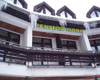 Penzion Mona Rooms & Apartments - Harrachov - Building