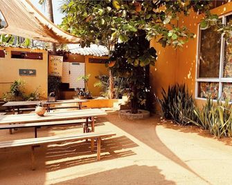 La Palmera Hostel - Puerto Escondido - Patio