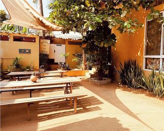 La Palmera Hostel - Puerto Escondido - Patio