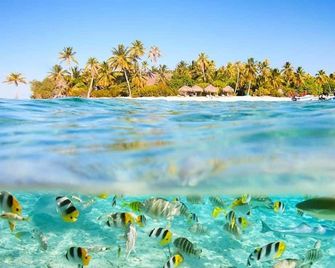 Ocean Breeze Bungalow - Raiatea - Beach
