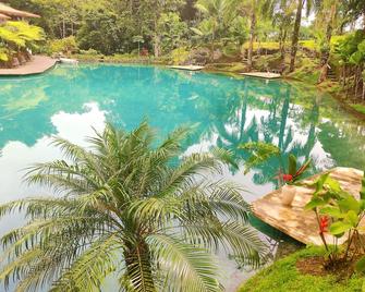 Gavilán House - Rincón de la Vieja Volcano - Colonia Dos Ríos - Piscina