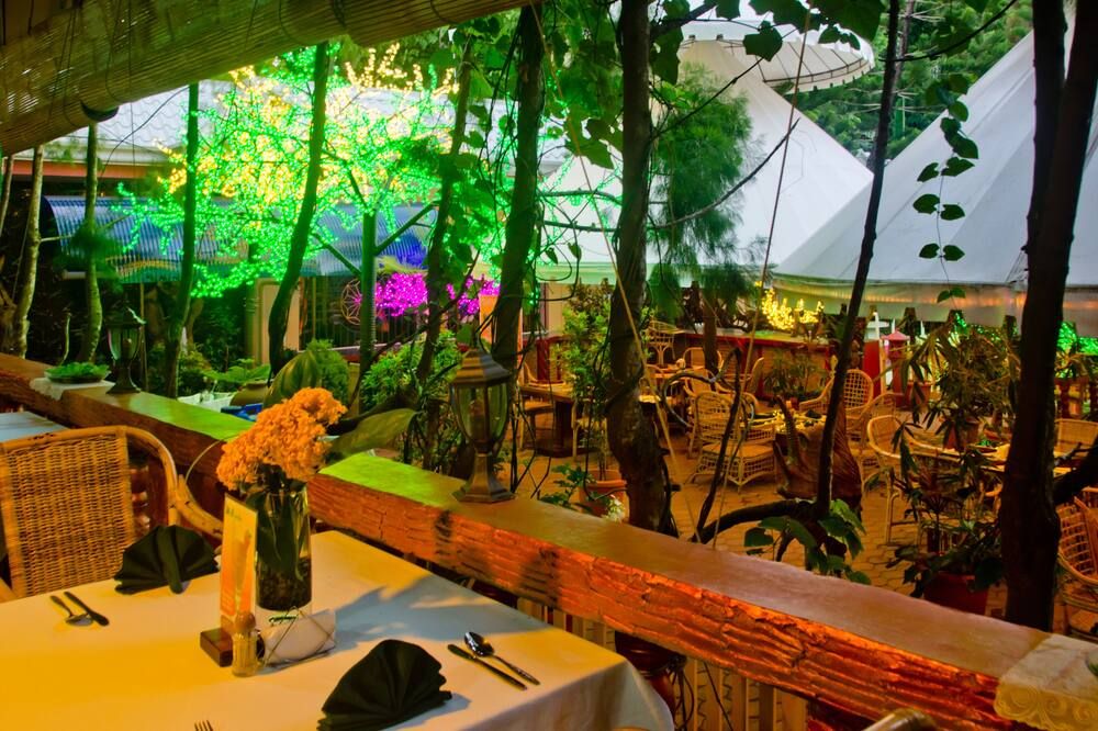 فندق ديب فوريست غاردن