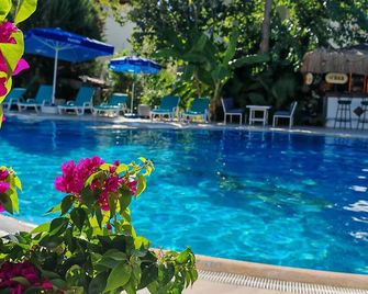 達利安水樓酒店 - 奧爾塔賈 - 達利安 - 游泳池