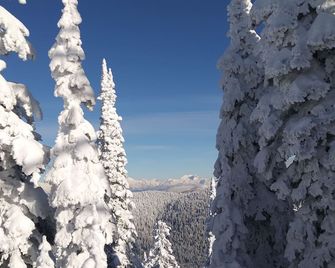 Chalet Inn - Whitefish