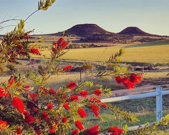 Farmstay cabins in Western Australia, close to highway. - Northampton - Outdoors view
