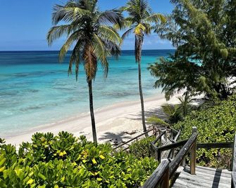 Priv. Beachfront House w/Hot Tub on Pink Sand Beach. Walk to Restaurant/Bar - North Palmetto Point - Playa