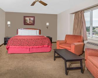 Days Inn by Wyndham Colorado Springs Air Force Academy - Colorado Springs - Bedroom