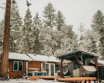 Forest Cottage | Hot Tub, Outdoor Baths & Alpacas - Grants Pass - Building