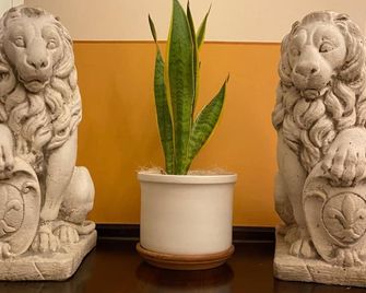 Vogue Hotel Arezzo - Arezzo