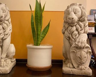 Vogue Hotel Arezzo - Arezzo