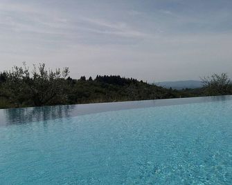 Villa Arnica B: A graceful cottage surrounded by vineyards and olive groves, with Free WI-FI. - Castellina in Chianti - Piscina