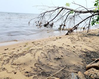 Foghorn Bay Getaway Relax and play at this private 4 BR/2BA, 1.5-acre property! - Marinette - Пляж