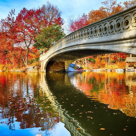 Attractions view of The Muse New York