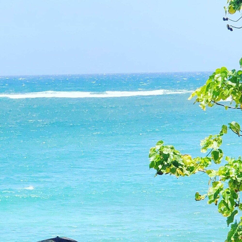 The suites of the residence - Puerto Plata - Plage