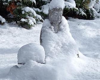 A sunny haven of peace with seasonal swimming pool - Venterol - Annehmlichkeit
