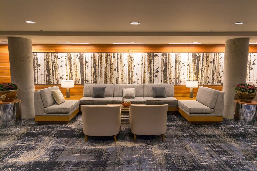 The Cliff Lodge and Spa - Alta - Salon