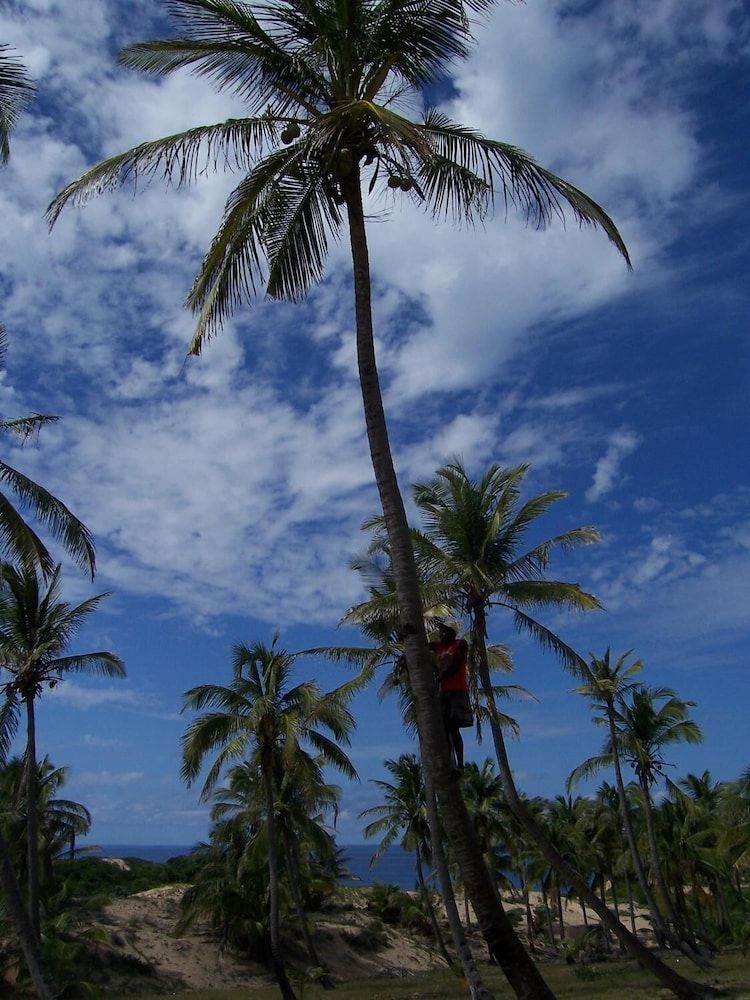 Blue Moon Beach Holiday Resort - Inhambane - Extérieur