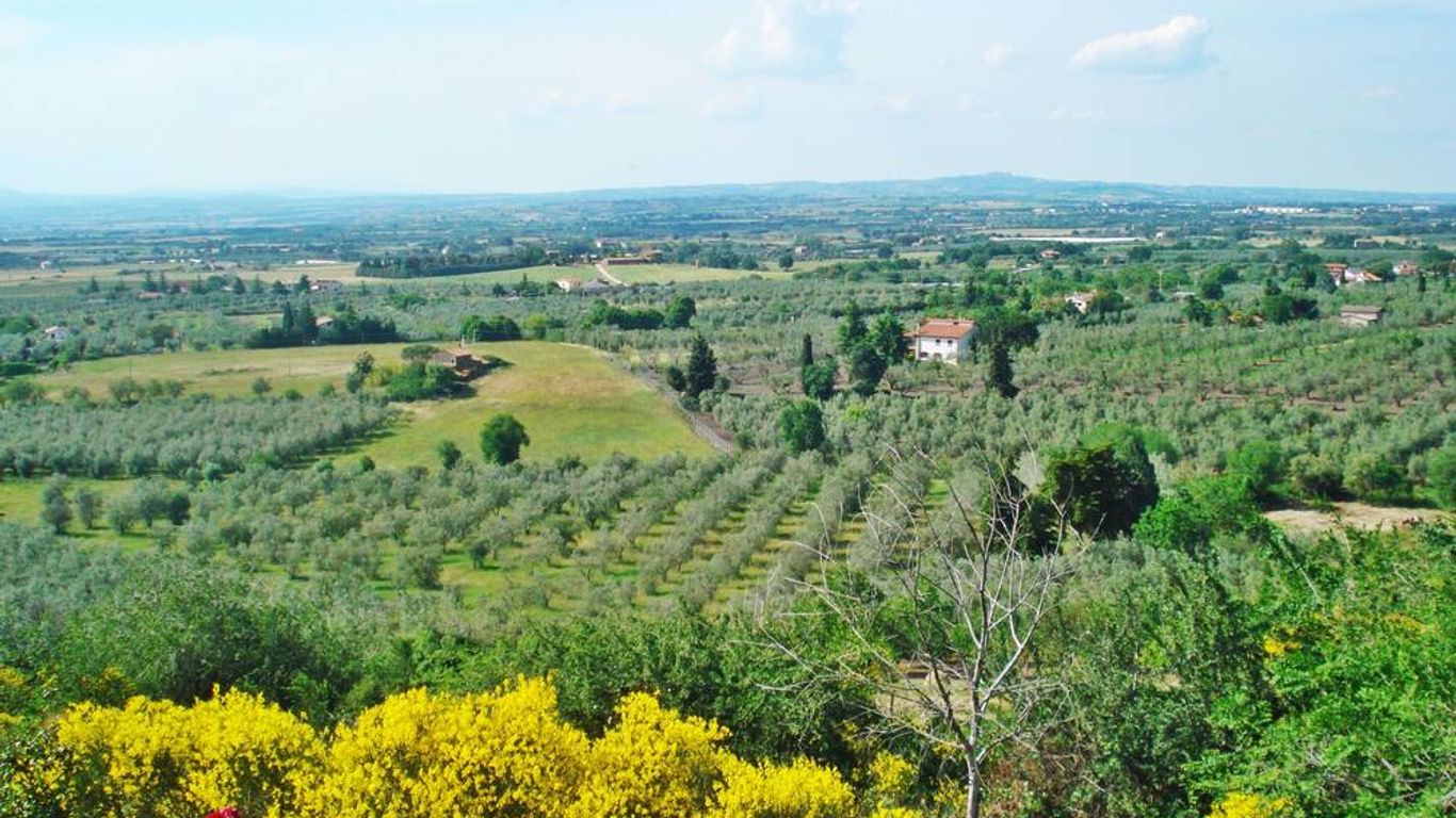 Agriturismo Montigliano