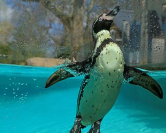 Keystone House - Londen