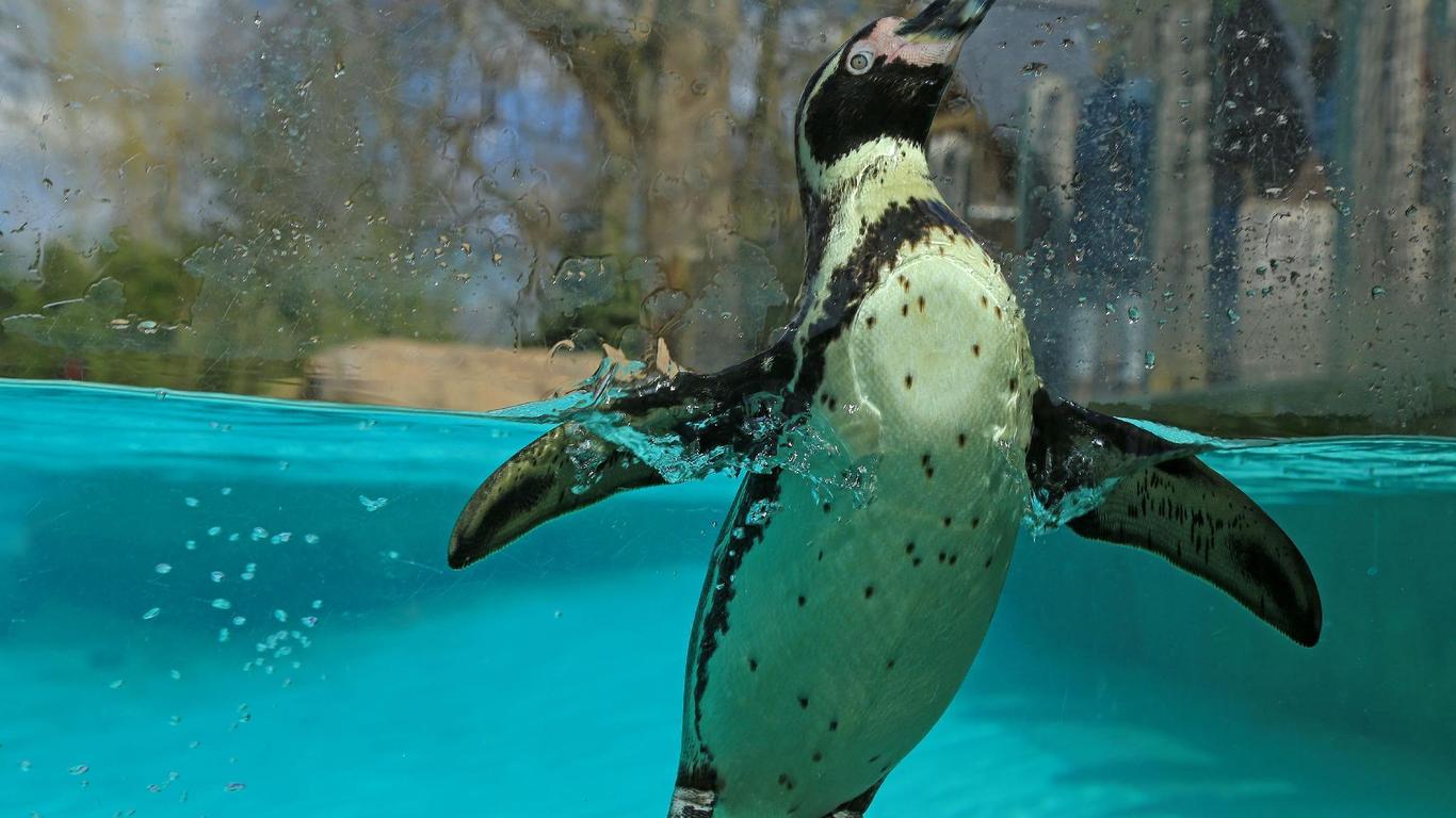 Kings Boutique Hotel