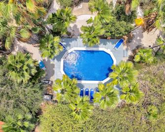 Tropical Divers Resort - Kralendijk - Piscina