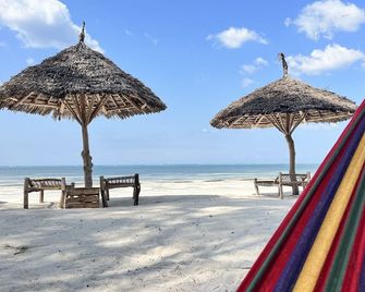 Seashore - Kiwengwa - Pláž