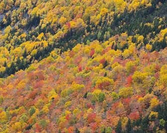 Tenney Hideaway - Near Ice Castles, Skiing, Natl Forest, Psu, Lakes, & Weddings! - Plymouth - Outdoor view