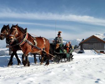 Chalet Maria Alm by Ski Slopes & Views - Maria Alm am Steinernen Meer
