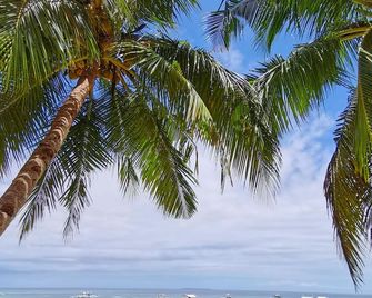 On Board Panglao Beach Hostel & Resort With Free Motorbike - Panglao - Beach