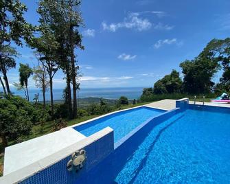 Exotic Designer House ,bird Feeders, Privacy W 50 Mile View, Wireless Internet - Ballena - Piscina