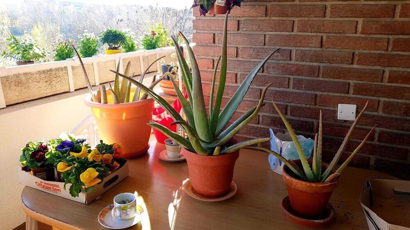 Modern B&B Somosaguas